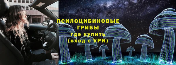 спайс Каменногорск