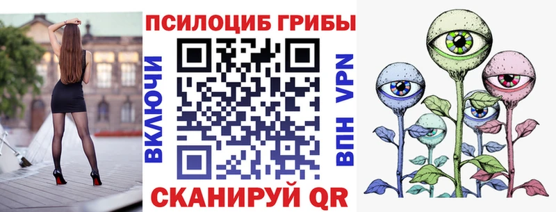 Галлюциногенные грибы Psilocybine cubensis  Купить  Дальнереченск 